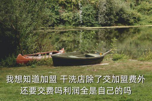 我想知道加盟 干洗店除了交加盟费外还要交费吗利润全是自己的吗