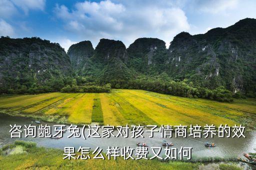 咨询龅牙兔(这家对孩子情商培养的效果怎么样收费又如何
