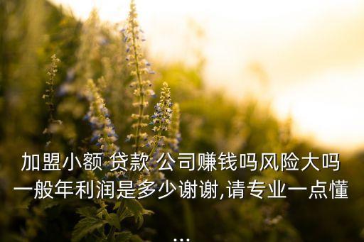 加盟小额 贷款 公司赚钱吗风险大吗一般年利润是多少谢谢,请专业一点懂...