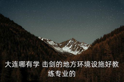 辽宁击剑品牌店加盟费用,击剑加盟有哪些品牌