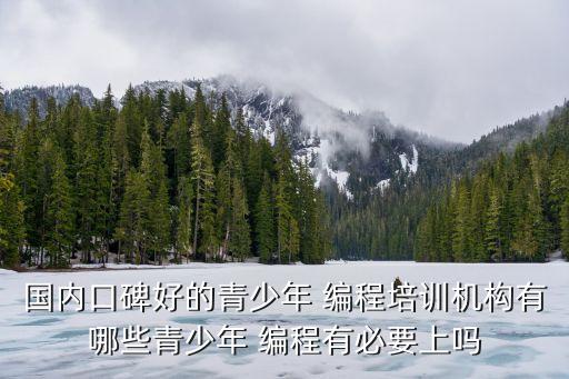 国内口碑好的青少年 编程培训机构有哪些青少年 编程有必要上吗