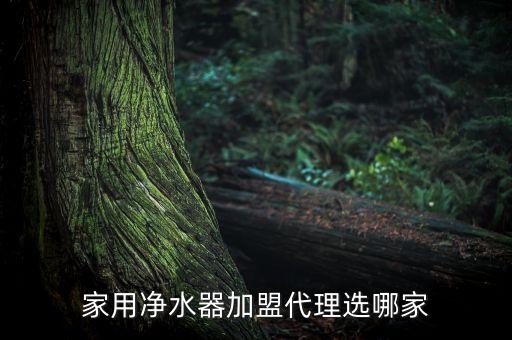 苏宁张诚加盟费,苏宁易购实体店加盟费