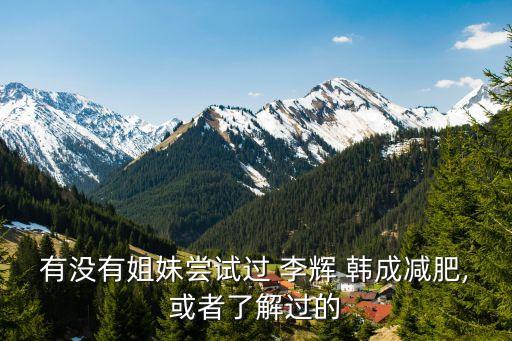 李辉韩成加盟费多少