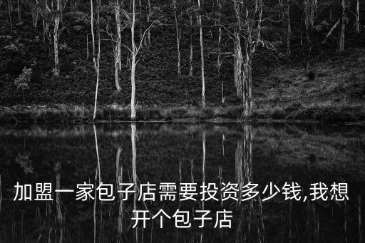 加盟一家包子店需要投资多少钱,我想开个包子店