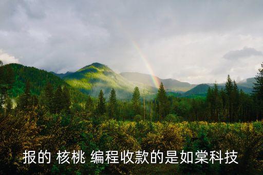 核桃少儿编程加盟费多少,核桃编程加盟费多少钱