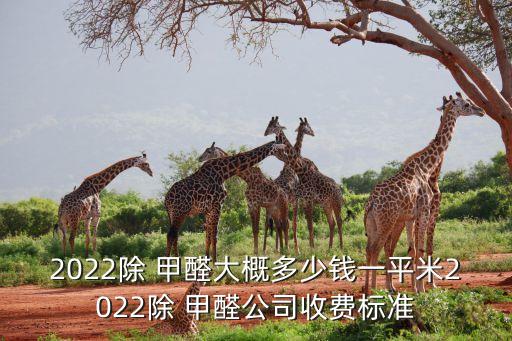 2022除 甲醛大概多少钱一平米2022除 甲醛公司收费标准