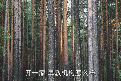 开一家 早教机构怎么样