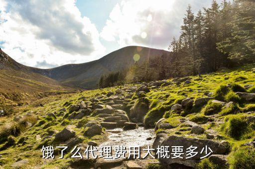 饿了么代理费用大概要多少