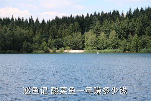 巡鱼记 酸菜鱼一年赚多少钱