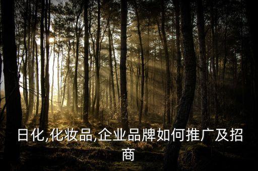 日化,化妆品,企业品牌如何推广及招商