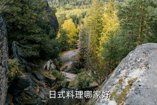 正野日式拉面加盟费,西木野日式拉面