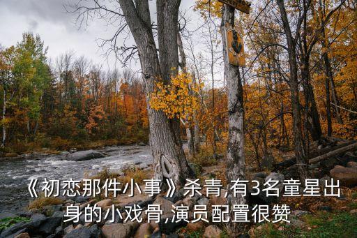 童星网加盟费多少,潮童星加盟费