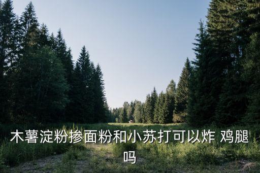 石狮炸鸡腿加盟费用,临榆炸鸡腿加盟要多少钱