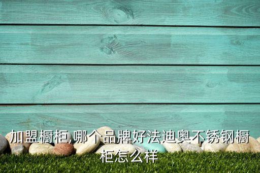 韩丽整形加盟费
