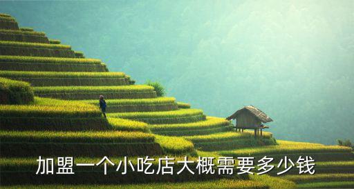 印度遍地烧烤加盟费多少