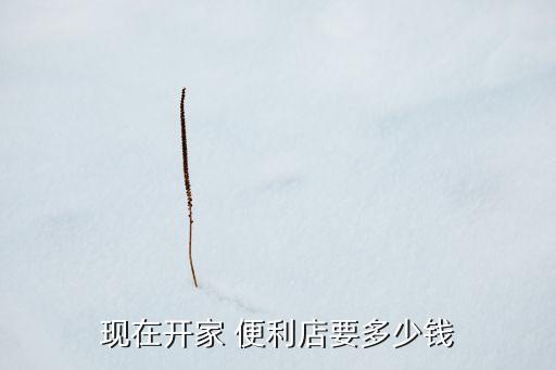 现在开家 便利店要多少钱