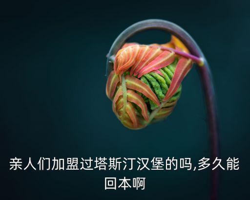 塔斯丁汀加盟费,开塔斯丁汀一年的利润多少