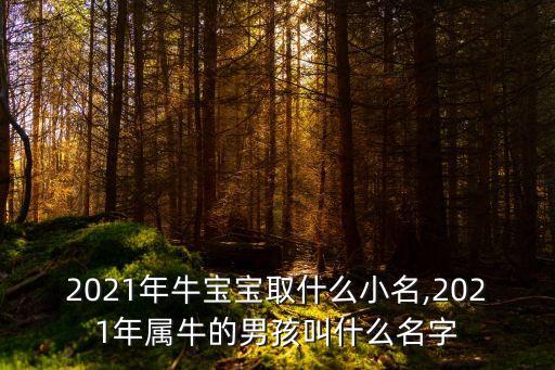 2021年牛宝宝取什么小名,2021年属牛的男孩叫什么名字