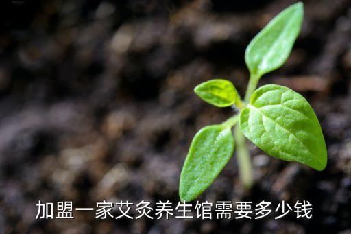 洛阳少儿推拿店加盟费多少