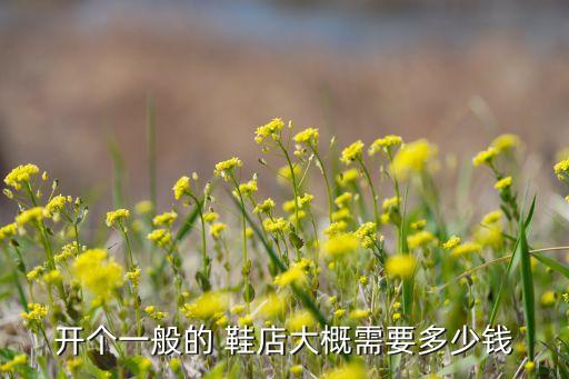 开个一般的 鞋店大概需要多少钱