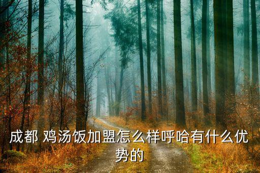 鸡汤饭加盟费大概多少,王春春鸡汤饭加盟费多少