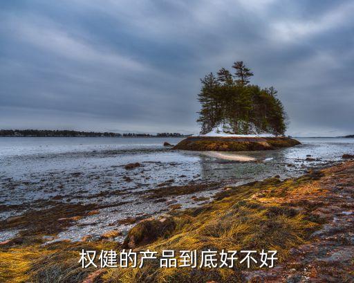 权健怎么加盟费多少