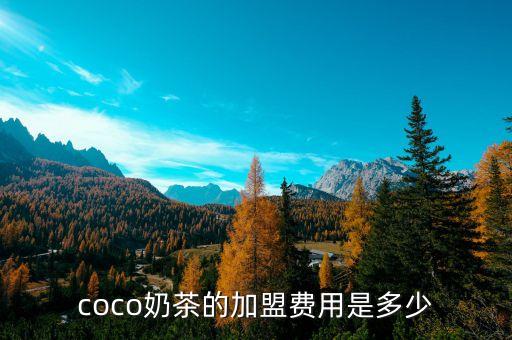 coco奶茶的加盟费用是多少