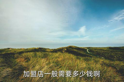 加盟店一般需要多少钱啊