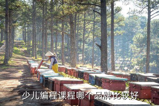 少儿编程课程哪个品牌比较好