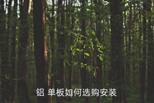 铝 单板如何选购安装