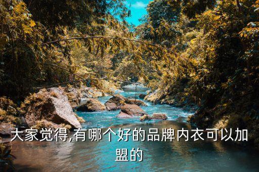 大家觉得,有哪个好的品牌内衣可以加盟的