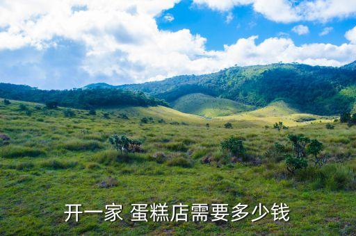 开一家 蛋糕店需要多少钱