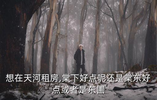 想在天河租房,棠下好点呢还是棠东好点或者是东圃