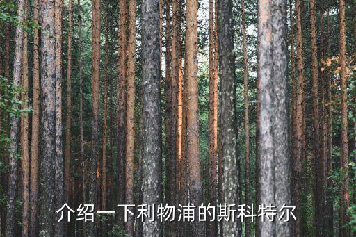泽尼特加盟费