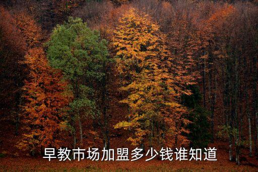 早教连锁加盟费多少钱,早教加盟连锁哪家最好
