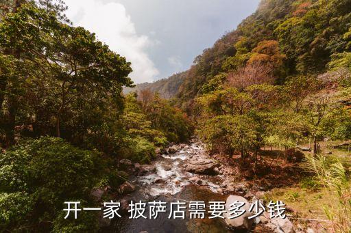 开一家 披萨店需要多少钱