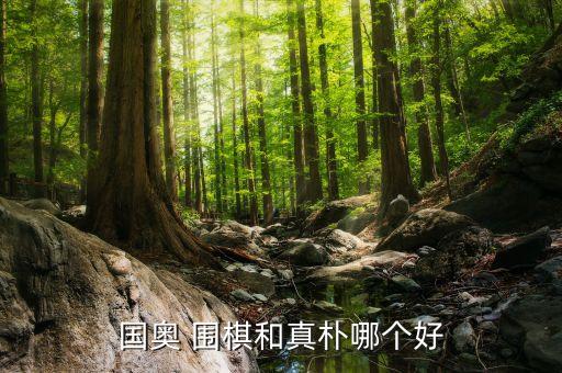 国奥 围棋和真朴哪个好