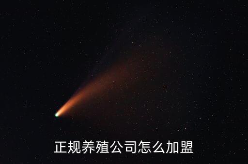 正规养殖公司怎么加盟