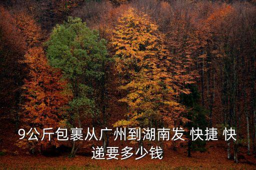 9公斤包裹从广州到湖南发 快捷 快递要多少钱