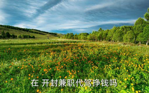 在 开封兼职代驾挣钱吗