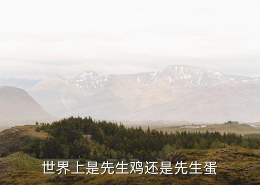 杭州蛋先生加盟费多少,杭州新丰小吃加盟费要多少