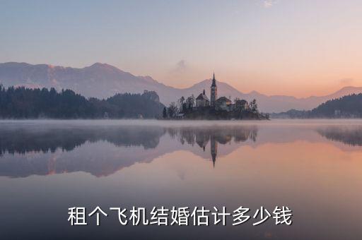 租个飞机结婚估计多少钱