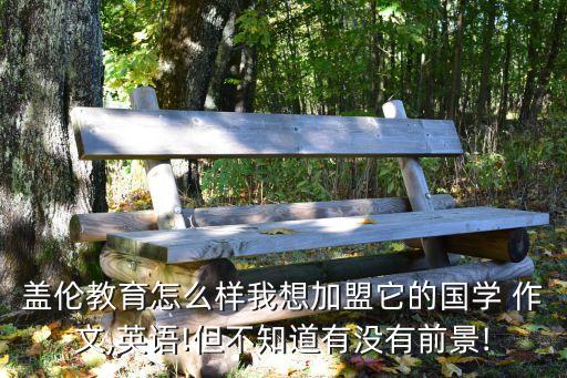盖伦教育怎么样我想加盟它的国学 作文,英语!但不知道有没有前景!