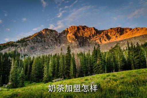 奶茶加盟怎样