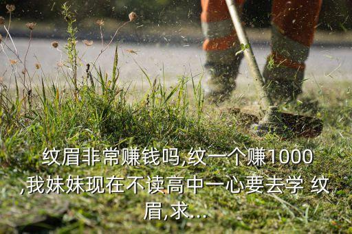  纹眉非常赚钱吗,纹一个赚1000,我妹妹现在不读高中一心要去学 纹眉,求...