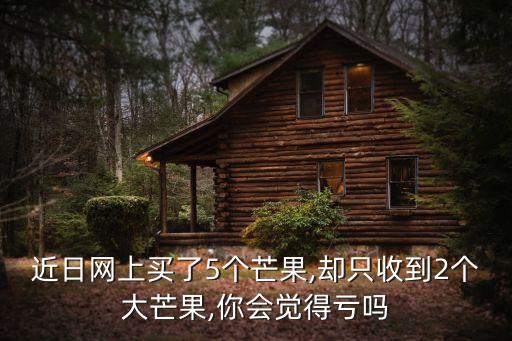 小芒国怎么加盟费多少