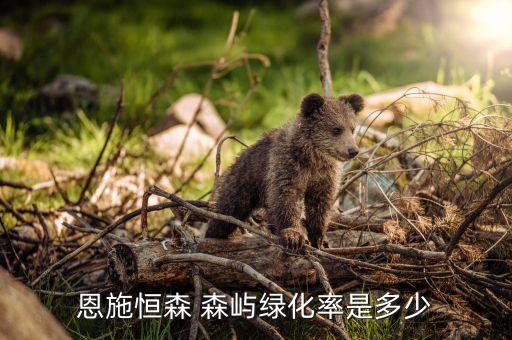 恩施恒森 森屿绿化率是多少