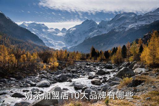 奶茶加盟店10大品牌有哪些