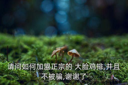 大脸鸡排店加盟费,五谷大脸鸡排加盟费多少钱