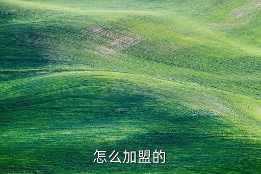 怎么加盟的